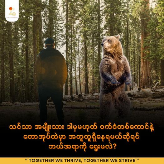Man or Bear in the Woods